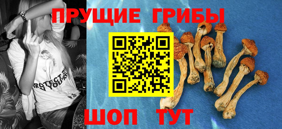Галлюциногенные грибы Psilocybe Мелеуз