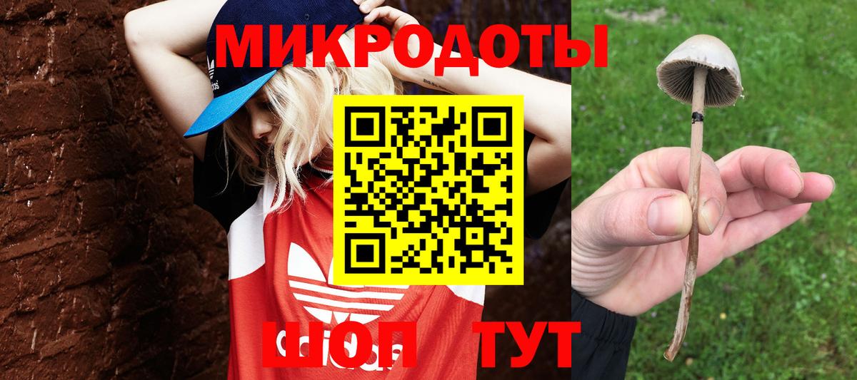 Галлюциногенные грибы Psilocybe  Вход с VPN  Мелеуз  Галлюциногенные грибы ЛСД 